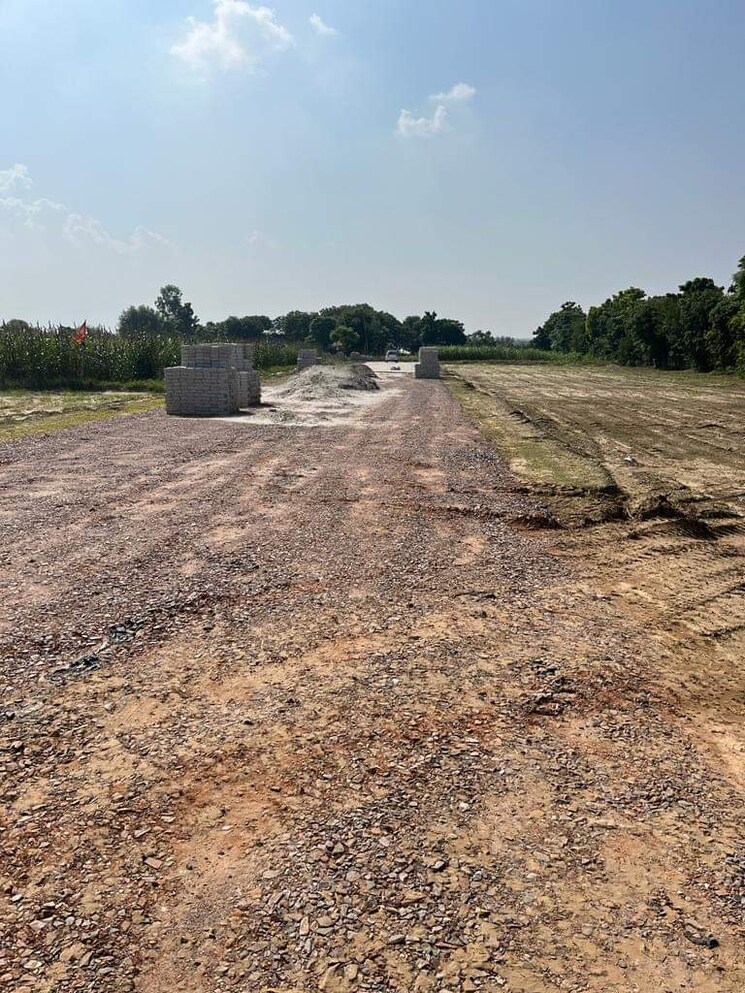 undefined, virat nagar  120 Sq.Yd. Plot In Virat Nagar Panipat 8363812