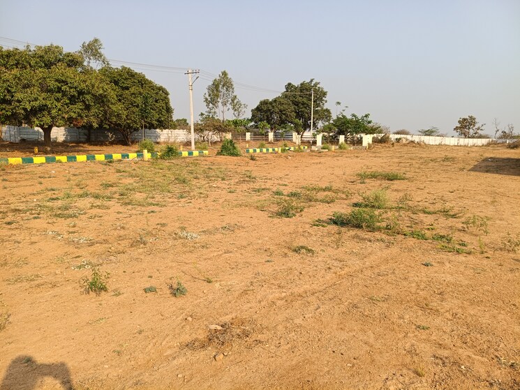 undefined, kothur  180 Sq.Yd. Plot In Kothur Hyderabad 8363924