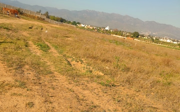 Plot For Sale in Pinjore