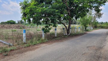  Land – Exterior View View at Kalapatti - for Sale