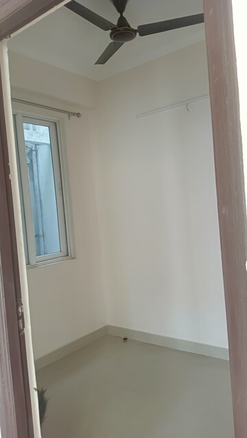 2.5 BHK Apartment For Rent in Amrapali Golf Homes, Sector 4, Greater Noida