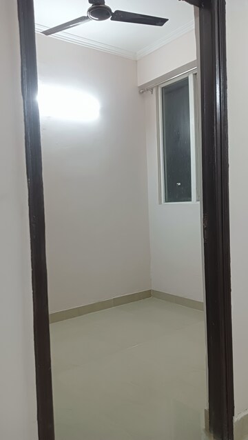 Room in 2.5 BHK Apartment at Amrapali Golf Homes, Sector 4, Greater Noida – for Rent