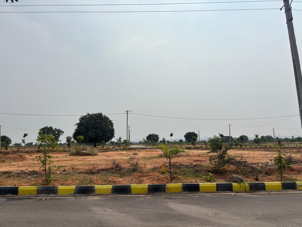 Plot For Sale in Glentree Pharma County