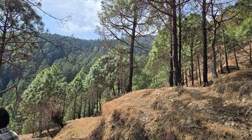 Plot Area in  Plot at Mussoorie Road – for Sale