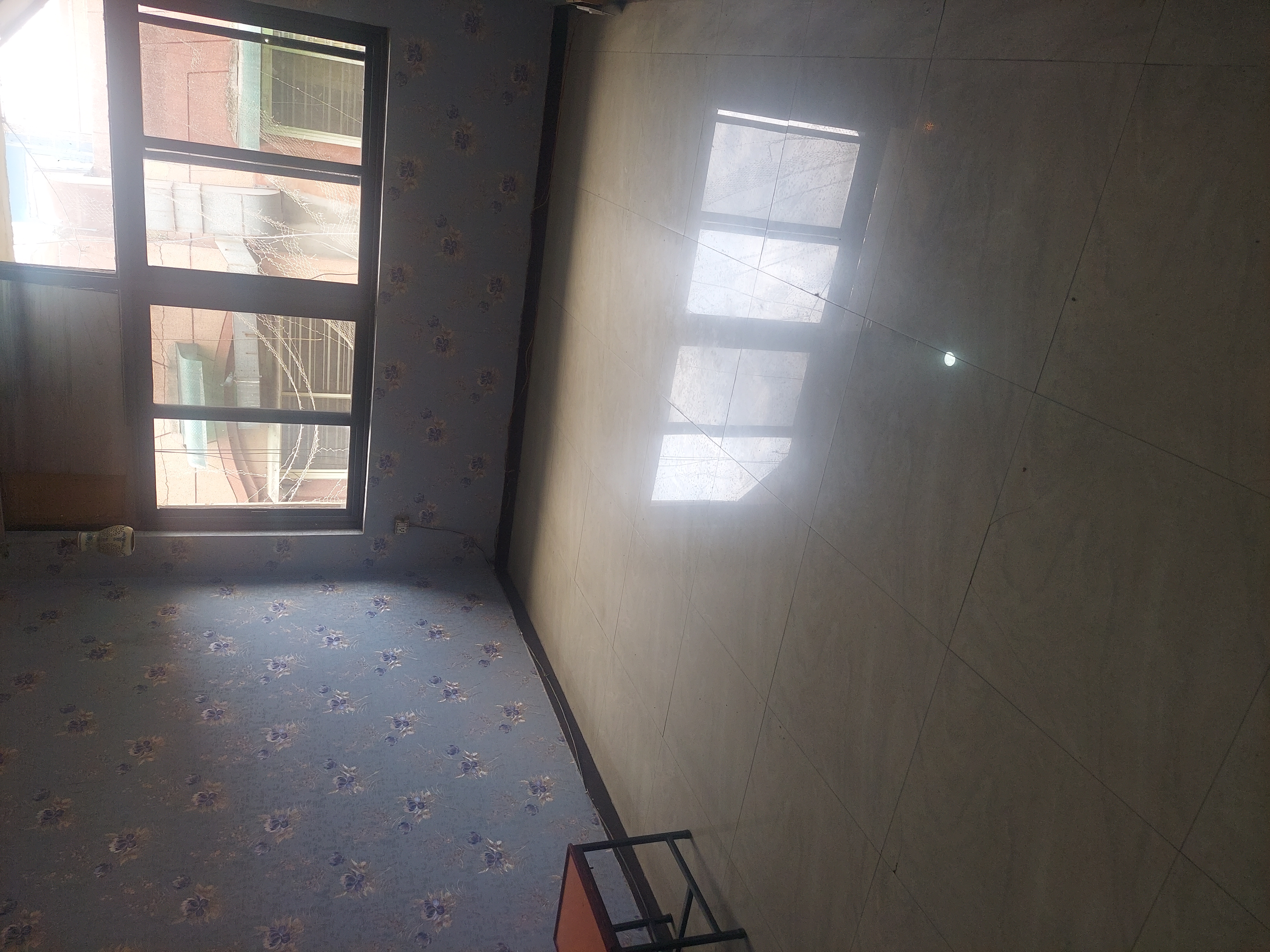 2 BHK Apartment For Sale in Ip Extension Balco Market