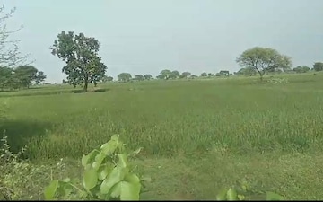 Plot For Sale in Mandir Hasaud