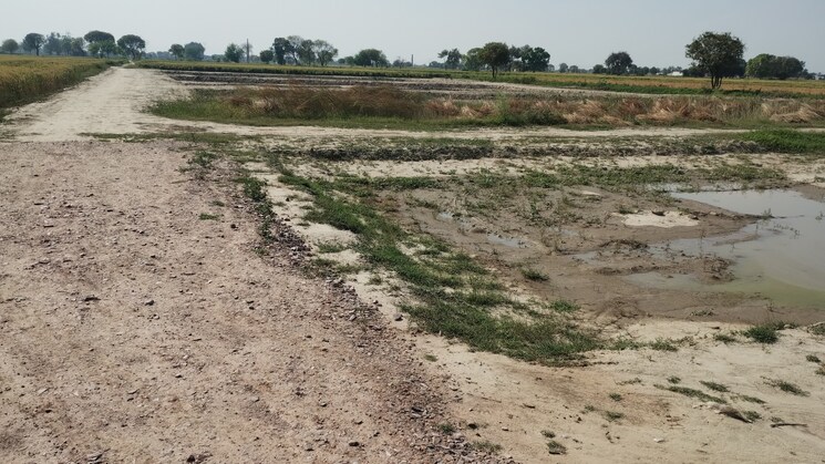 undefined, bamnikhera  400 Sq.Yd. Plot In Bamnikhera Palwal 8365174