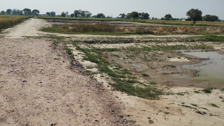 undefined, bamnikhera  400 Sq.Yd. Plot In Bamnikhera Palwal 8365174