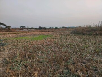  Plot For Sale in Ranjanpada