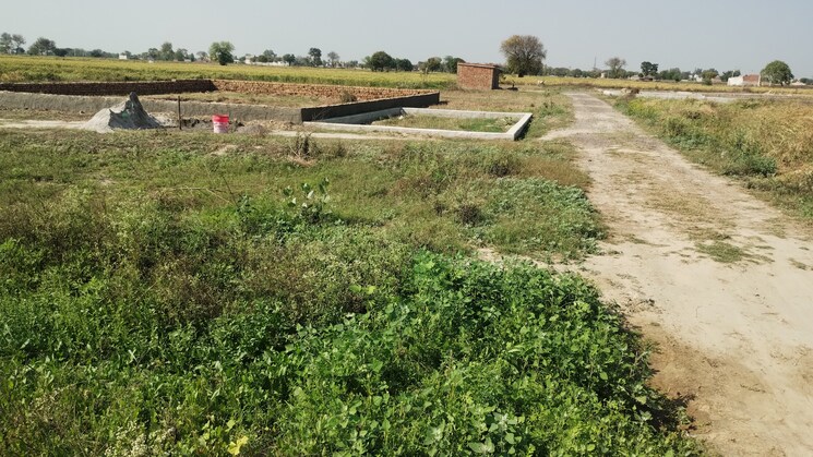 undefined, bamnikhera  500 Sq.Yd. Plot In Bamnikhera Palwal 8365210