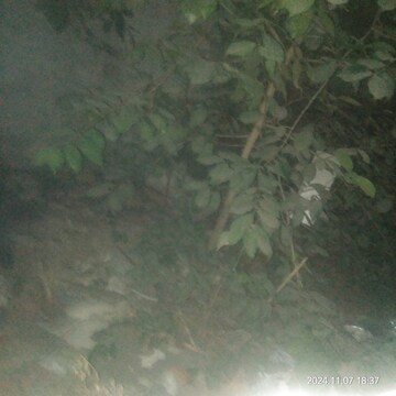  Plot For Sale in Punjab Mata Nagar