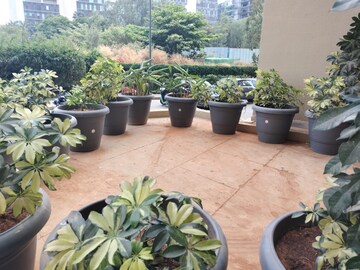 1.5 BHK Apartment – Garden View at Bhartiya Nikoo Homes Phase 2, Thanisandra Main Road - for Rent