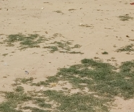Plot For Sale in Shivkripa Orchid Gyan Khand, Gyan Khand I