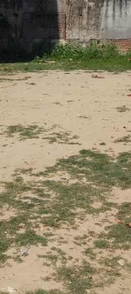 Plot For Sale in Shivkripa Orchid Gyan Khand