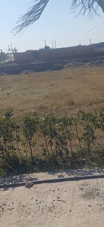 Plot Area in  Plot at Jewar – for Sale