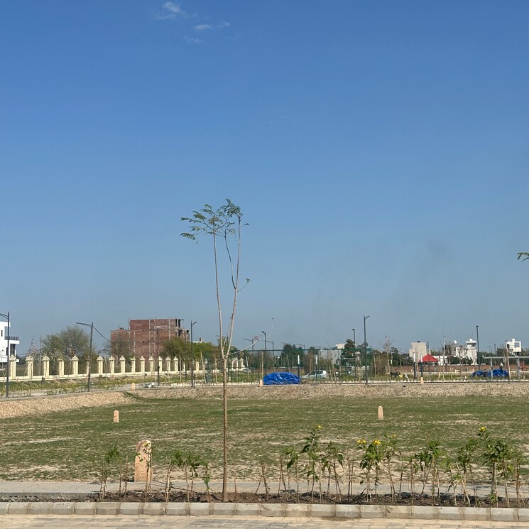 undefined, tdi city 3 Bedroom 180 Sq.Ft. Builder Floor In Tdi City Panipat 8366757