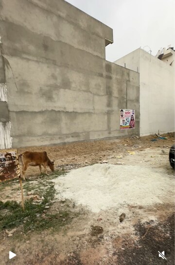 Plot For Resale in Sector 64 Faridabad  8366782