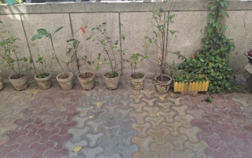 Plot For Sale in Sector 88b
