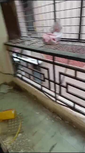 Balcony in 1 BHK Builder Floor at Mehrauli – for Rent