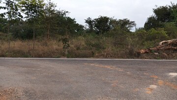  Plot For Sale in Anjanapura