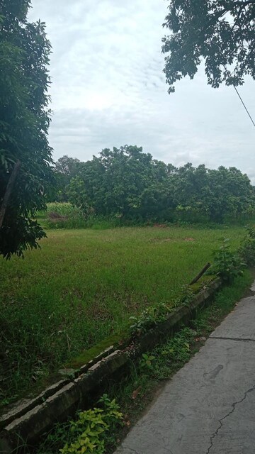 Plot For Sale in Mohanlalganj