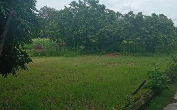 Plot For Sale in Mohanlalganj