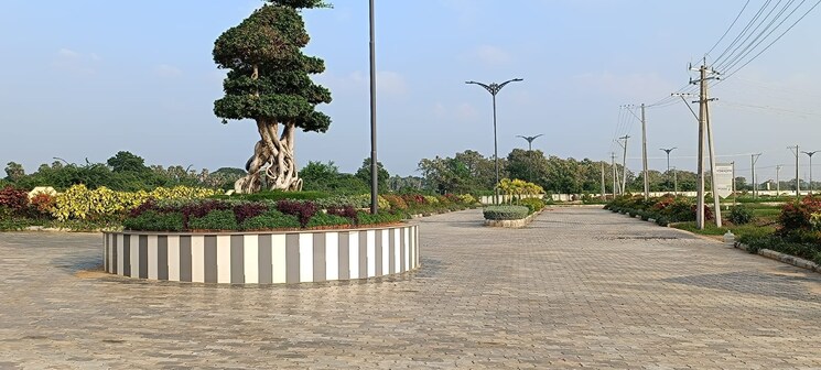 Garden, kakupalli  1980 Sq.Yd. Plot In Kakupalli Nellore 8368410