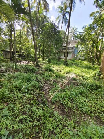  Plot For Sale in Mudalipalayam
