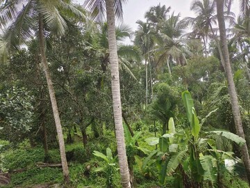  Land – Exterior View View at Nachipalayam - for Sale
