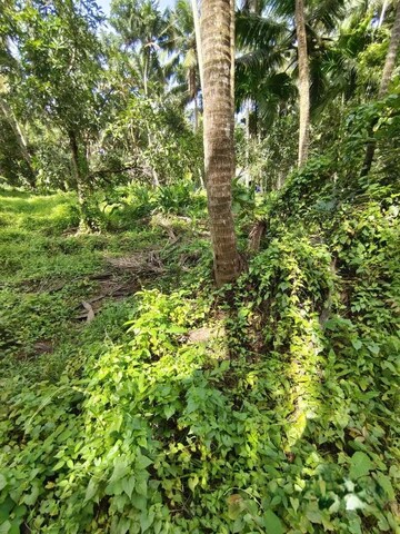  Land – Exterior View View at Nachipalayam - for Sale