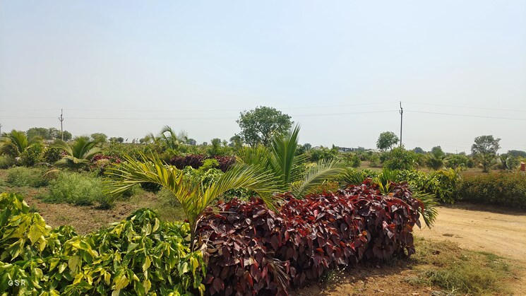 Garden, kandukur  440 Sq.Yd. Plot In Kandukur Hyderabad 8368679