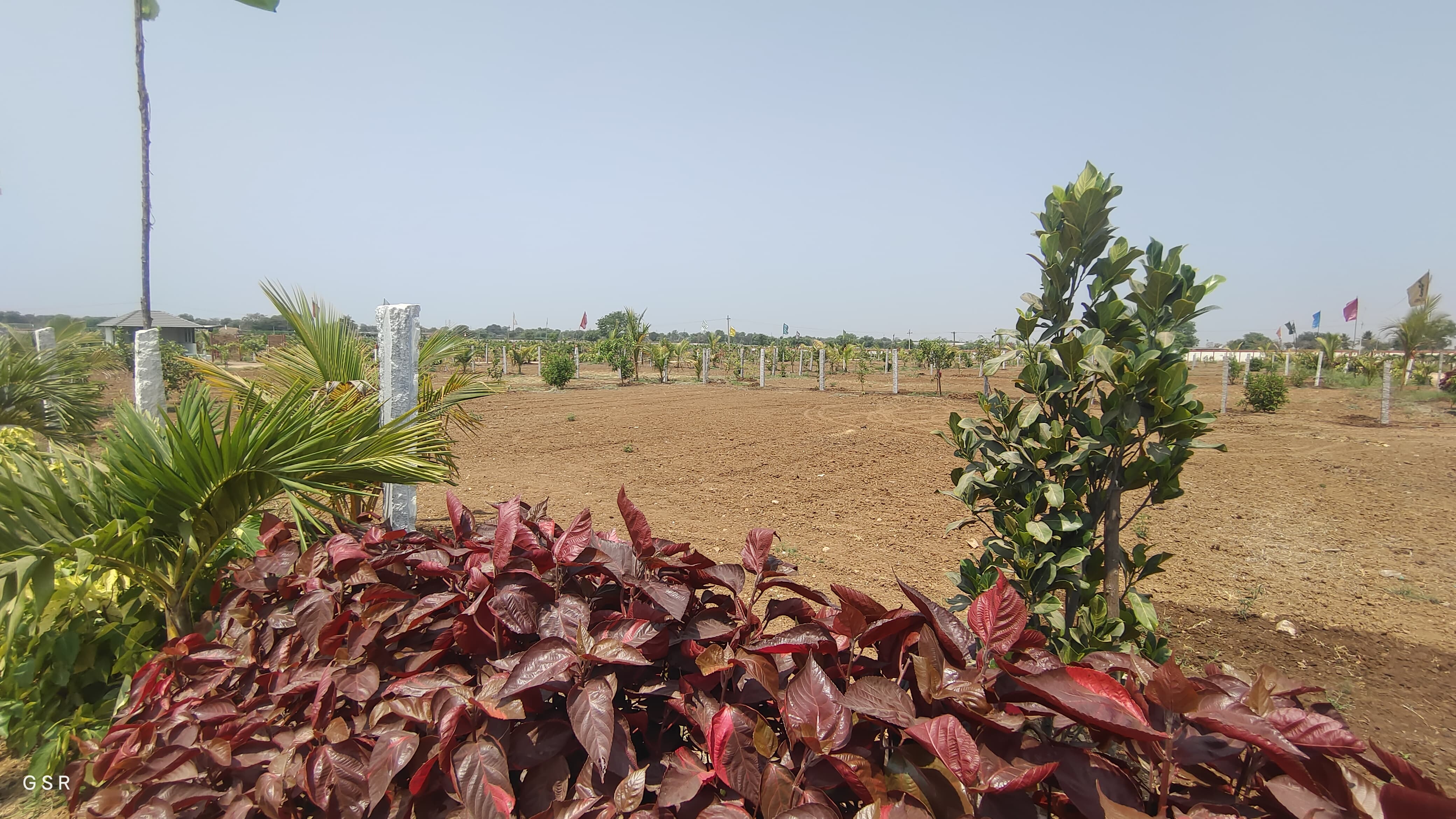 Plot For Sale in Tulip Farms 
