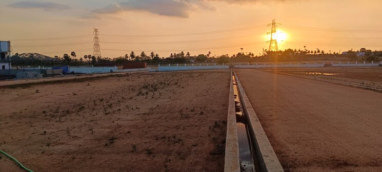 undefined, thirumalaigiri  1200 Sq.Ft. Plot In Thirumalaigiri Salem 8369025