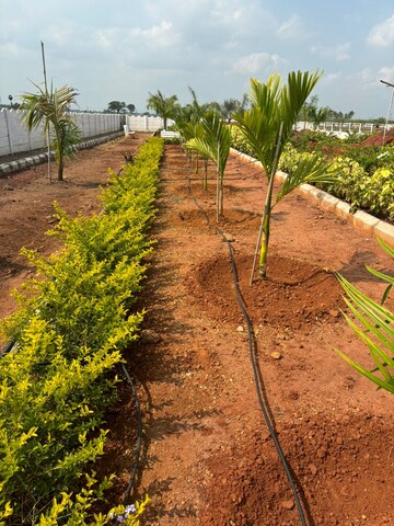 Plot Area in  Plot at Sri Bhumi Eeshaanya, Kankipadu – for Sale
