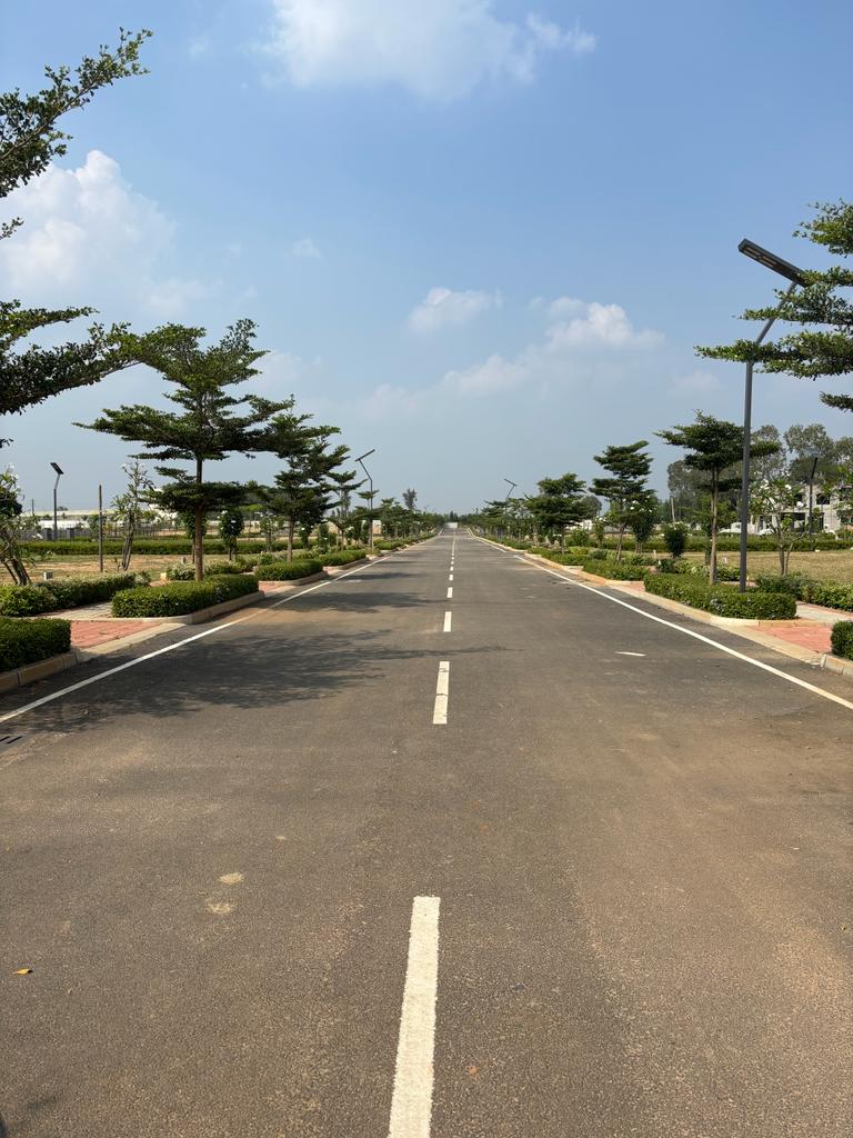 Plot For Sale in Suradhenupura