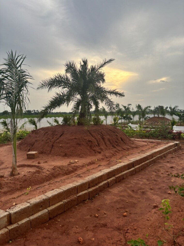 undefined, tadepalli  200 Sq.Yd. Plot In Tadepalli Vijayawada 8369392