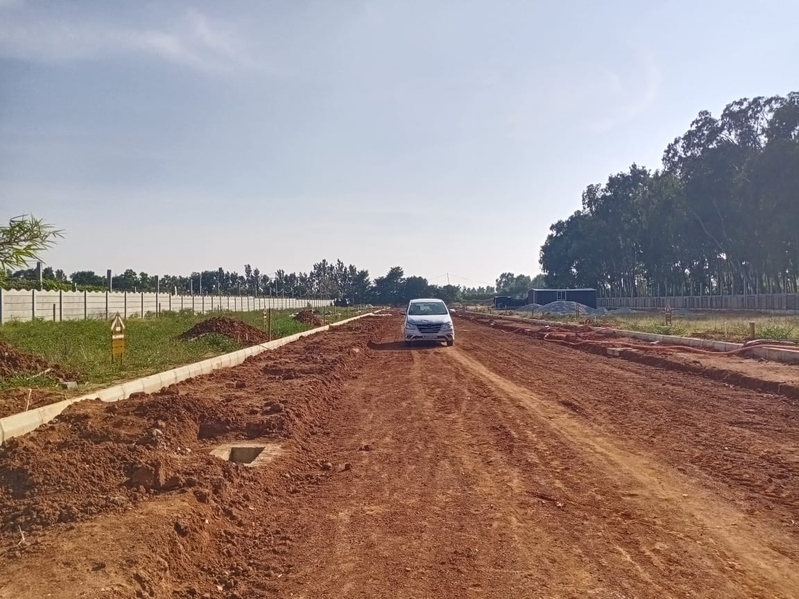 Plot For Sale in Suradhenupura