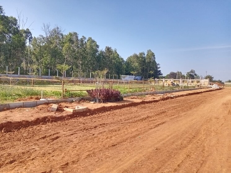 undefined, suradhenupura  2400 Sq.Ft. Plot In Suradhenupura Bangalore 8369698