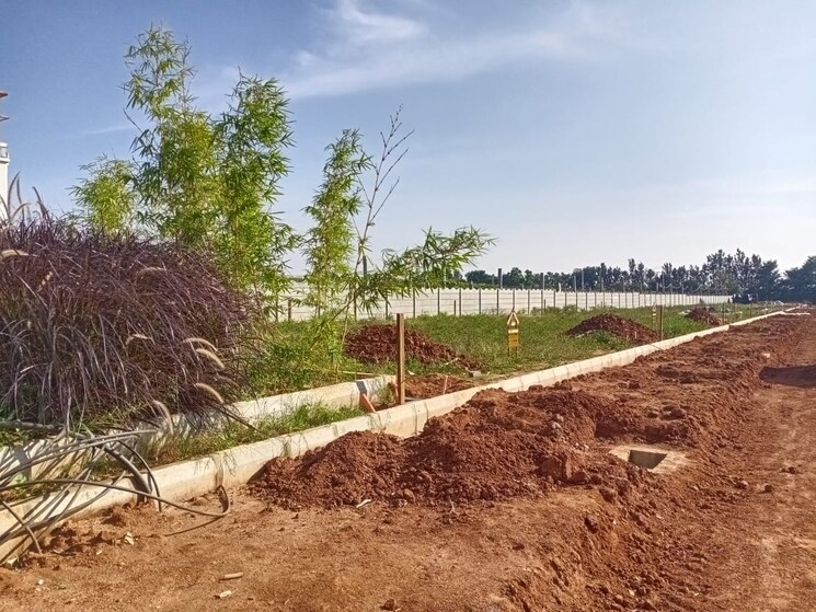 undefined, suradhenupura  2400 Sq.Ft. Plot In Suradhenupura Bangalore 8369698