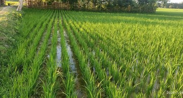 Plot Area in  Plot at Bibinagar – for Sale