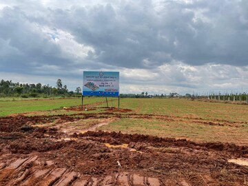 Plot Area in  Plot at Suradhenupura – for Sale