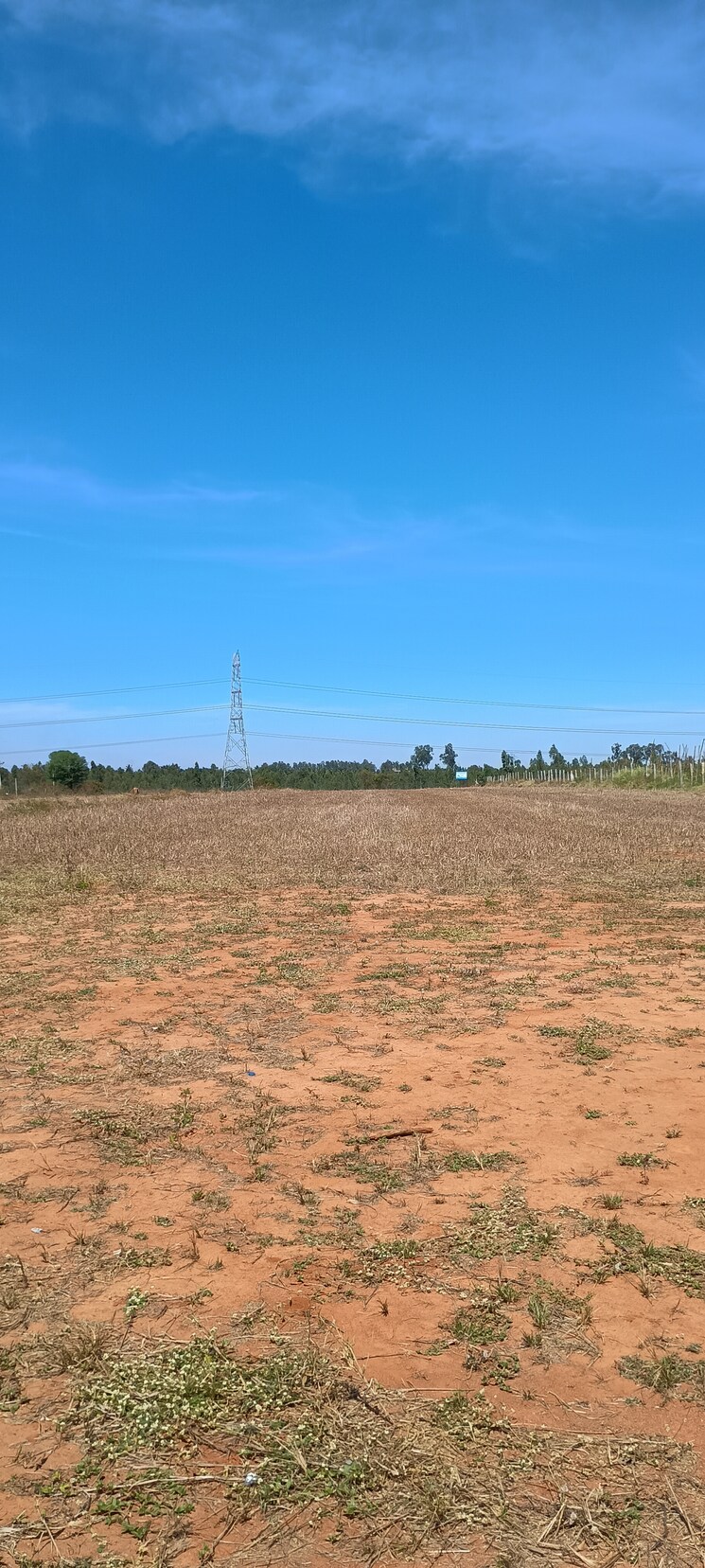 Exterior View, suradhenupura  1500 Sq.Yd. Plot In Suradhenupura Bangalore 8369940