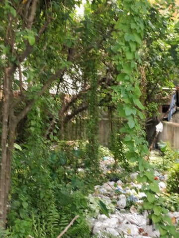 Plot Area in  Plot at Madurdaha Hussainpur – for Sale