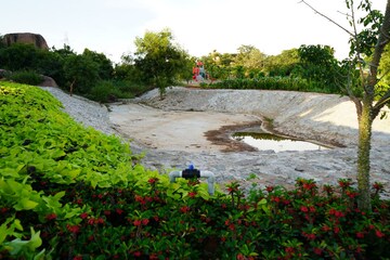 Plot Area in  Plot at Silpa Raghava Botanica, Pharma City – for Sale
