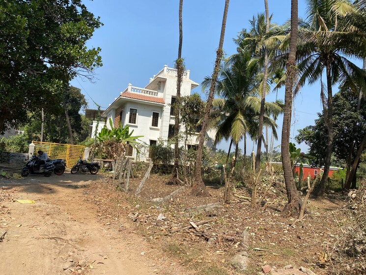 Listing Cover Image