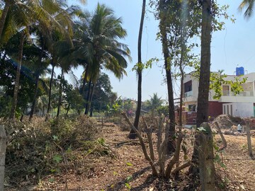 Plot Area in  Plot at Alibag – for Sale