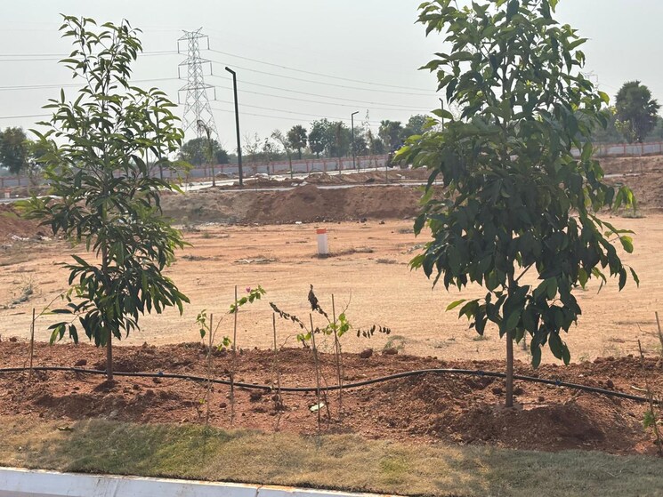 undefined, aduri-golden-heights  121 Sq.Yd. Plot In Shadnagar Hyderabad 8370383