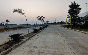 Plot For Sale in Kurali