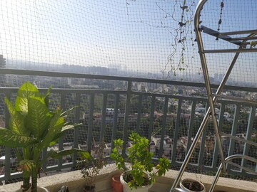 3 BHK Apartment – Exterior View View at Ardee City Palm Grove Heights, Sector 52 - for Rent