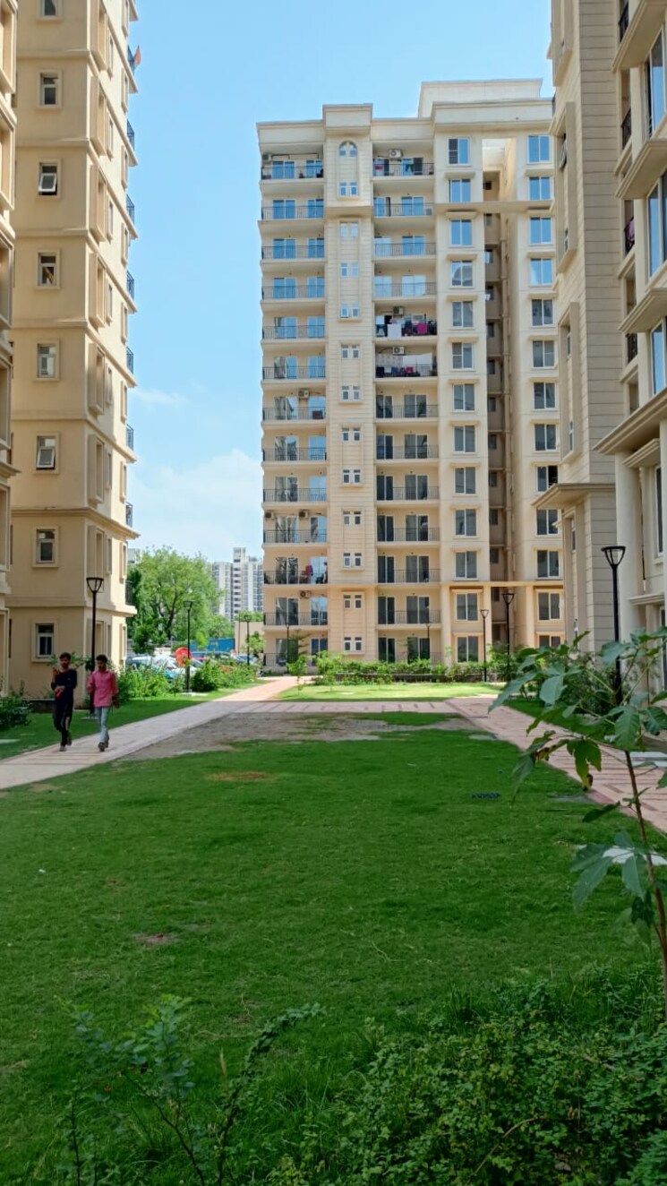 Exterior View, signature-the-serenas 2 Bedroom 614 Sq.Ft. Apartment In Sohna Sector 36 Gurgaon 8372301